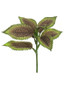 Artificial Coleus Leaf Pick - 10" Tall (Bundle Of 4)
