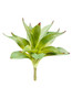 Artificial Dracaena Tropical Plant - 9"