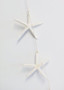 White Preserved Starfish Garland- 68"