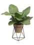 House Plant Stand With Fake Potted Tropical Leaves - 20" Tall