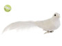 10" Singing Bird With Long Tail And Metal Clip White (Bundle Of 12) BB1882-WH