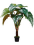 58" Philodendron Red Prince In Pot Knock-Down Packing Green 2 Pieces LPP358-GR
