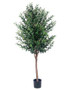 5' Olive Tree W/2560 Leaves In Pot Two Tone Green 2 Pieces LPO415-GR/TT