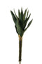 13.5" Small Aloe Plant (GR1869)