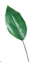 27" Canna Leaf (GR1801)