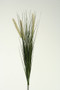 27 1/2" Green Onion Grass With Cream Dogstail (GR1528)