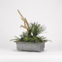 Mixed Succulents, Greenery And Driftwood In Metal Rectangle Planter (189070)