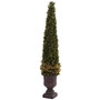 Mixed Golden Boxwood & Holly Topiary W/Urn (5368)