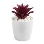 Mixed Succulent Artificial Plant In White Vase (Set Of 3) (8448-S3)
