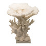 Table Display Coral Creation With Branch On Acrylic Base (8084-CRTA)