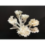 Poca Coral Creation On Acrylic Base (8094-CRT)