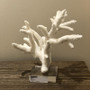 Staghorn Coral 10-12 (8083-M)