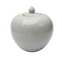 Matt White Porcelain Melon Jar (1634-MW)