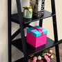 4-Tier Leaning Free Standing Ladder Shelf Bookcase (HW66096BK)