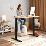Adjustable Electric Stand Up Desk Frame-Black (HW66720US-BK)
