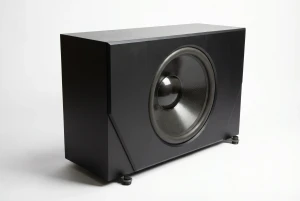 RBH The 33 – 33" Passive Subwoofer + 12K-420U Amplifier black