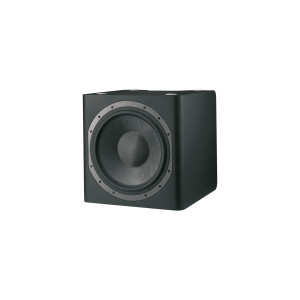 Bowers & Wilkins CT8 SW sub Bowers & Wilkins CT8 SW sub
