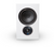 PSB Alpha iQ Streaming Powered Speakers with BluOS (Pair)