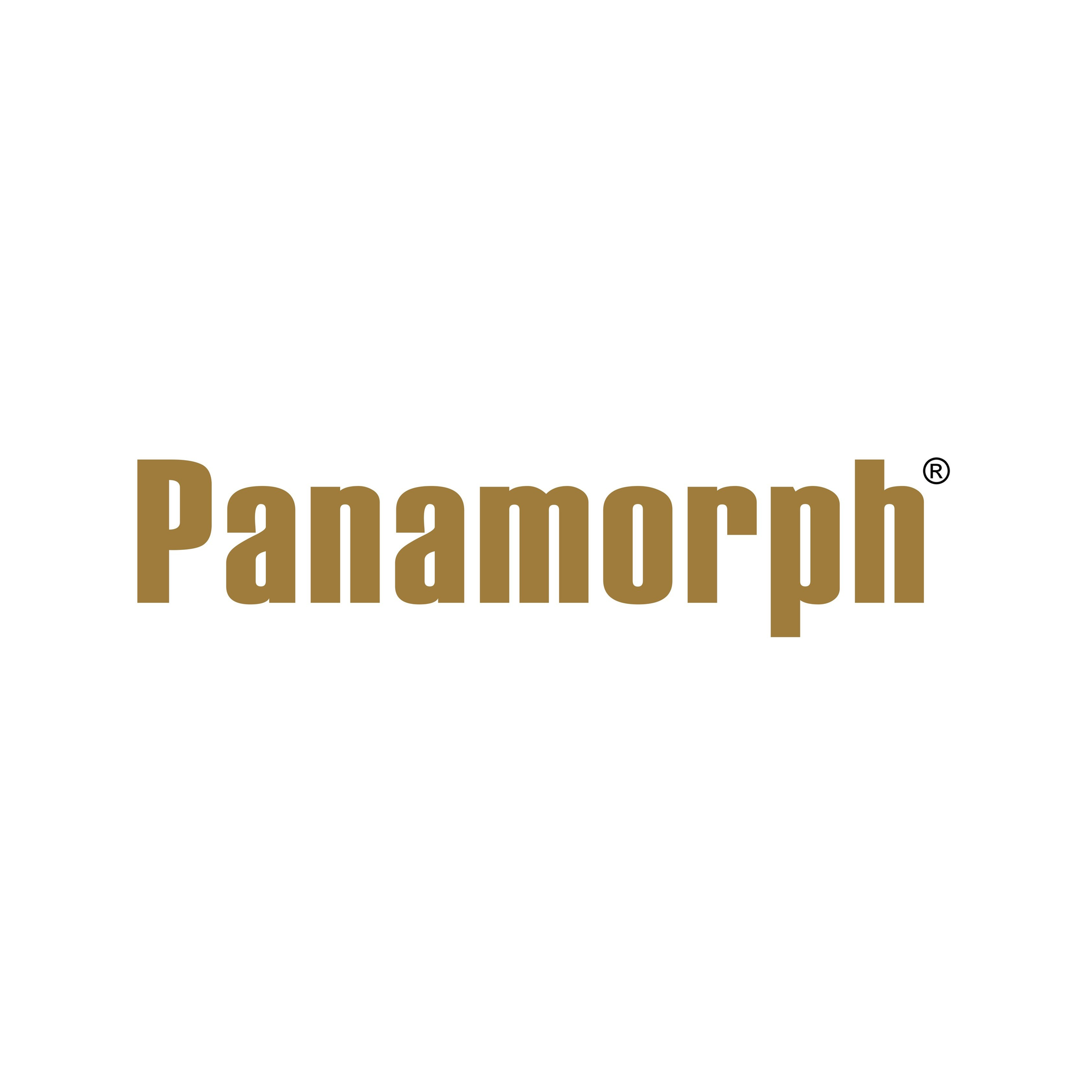 Panamorph
