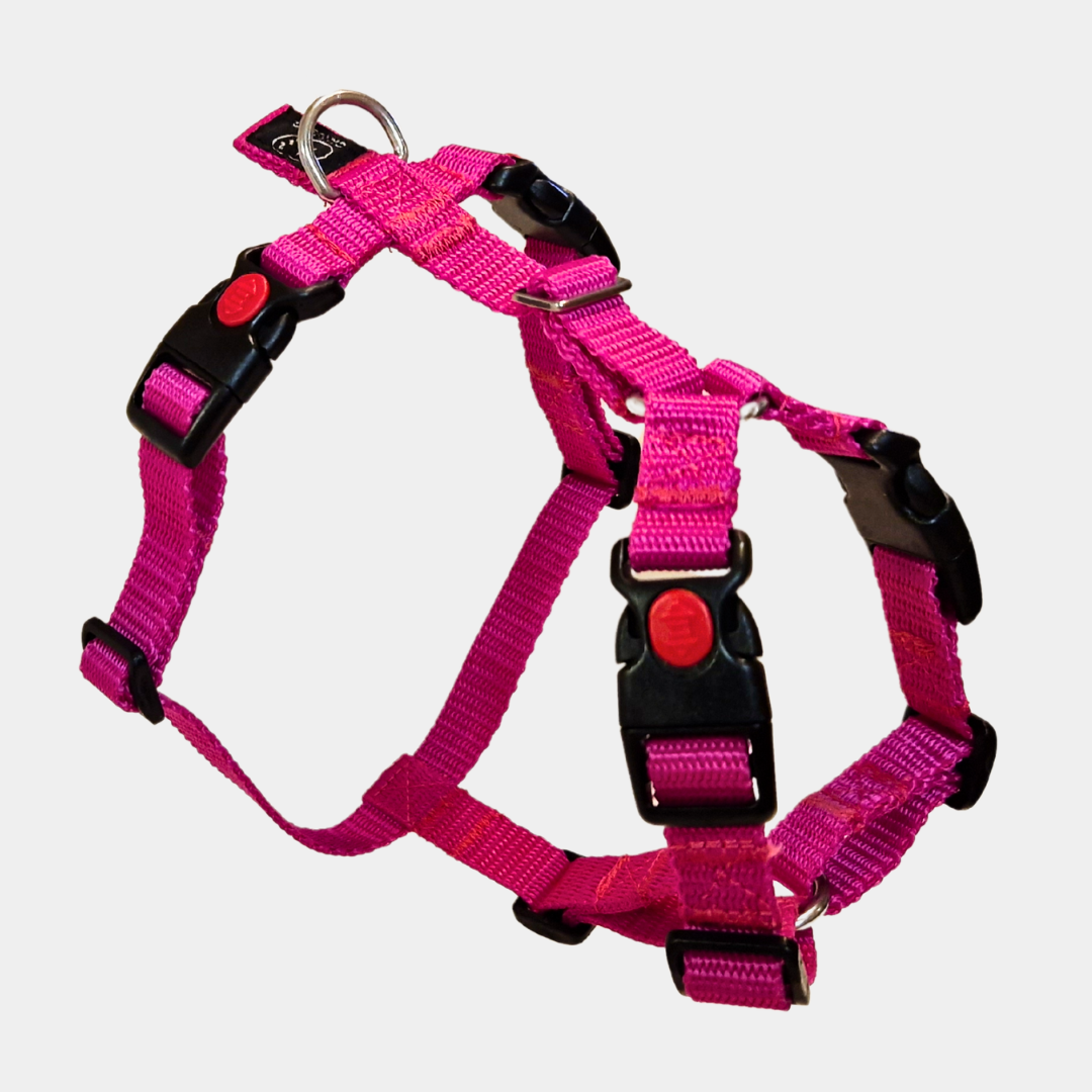Dog Harness Extra Small XS