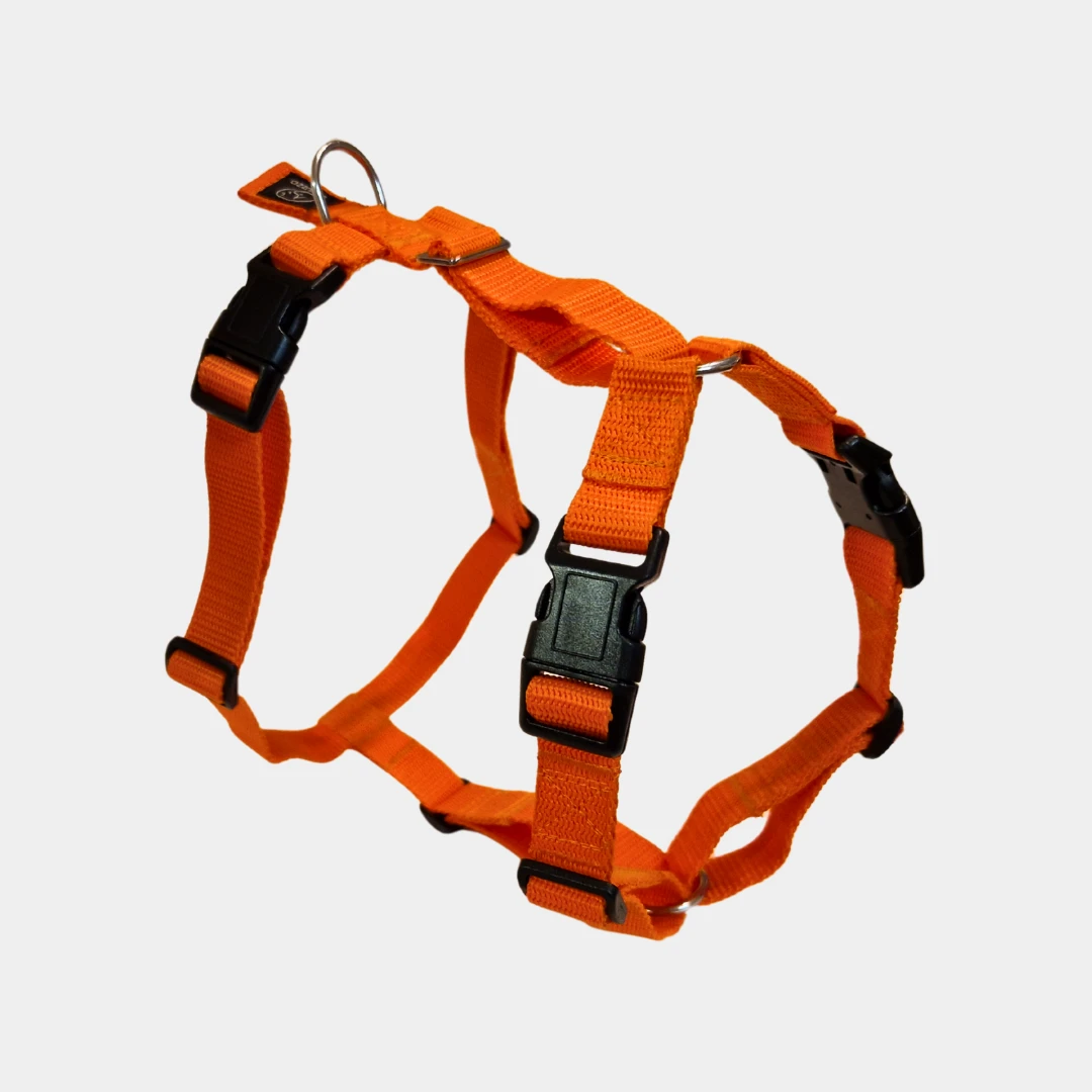 Light Adjustable Dog Harness Medium (M)