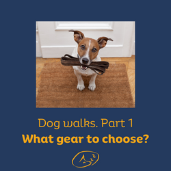 Dog Walks — Part 1. Dog Gear