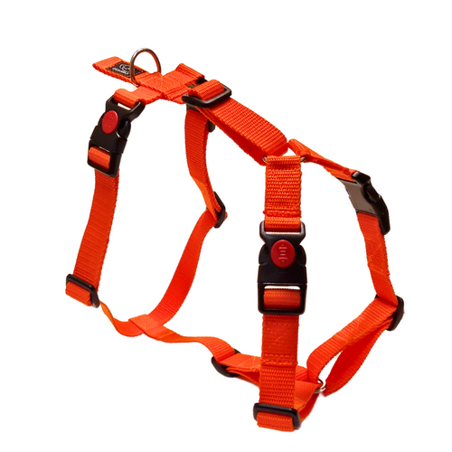 Dog harness orange for medium dogs