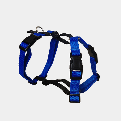 small dog harness