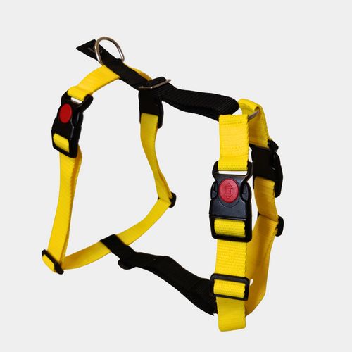 H dog harness