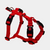 Dog harness for small dogs