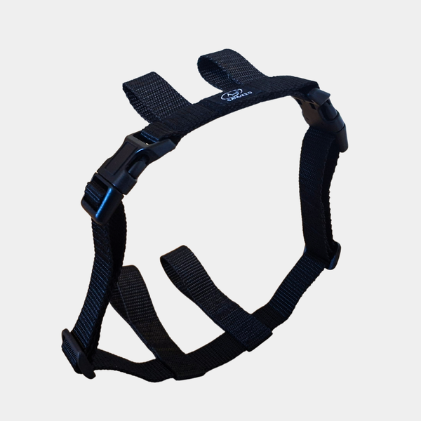 Escape-Proof Dog Harness Safety Strap | Extra Security for Sighthounds & Escape Artists