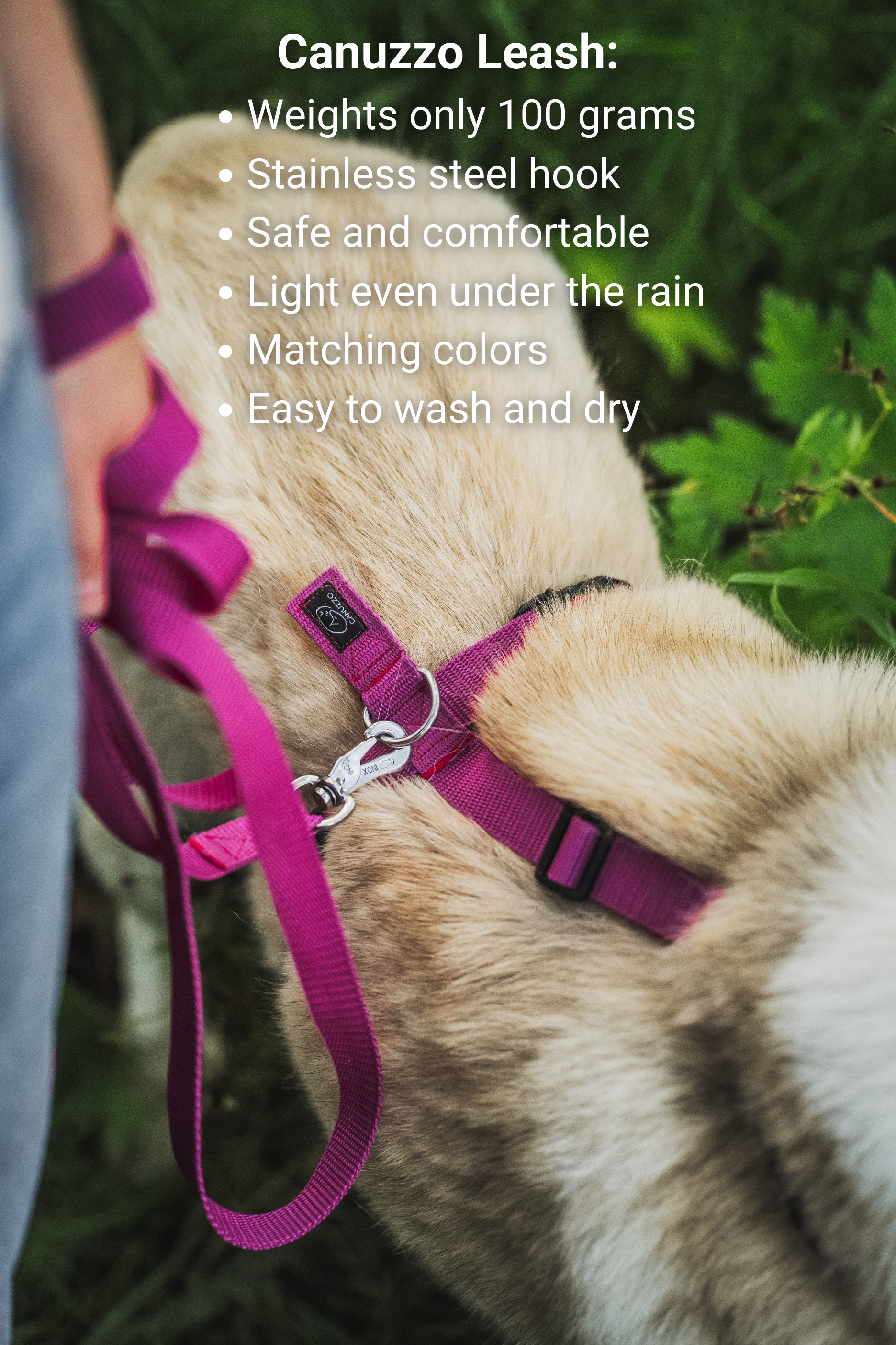 dog harness and leash matching
