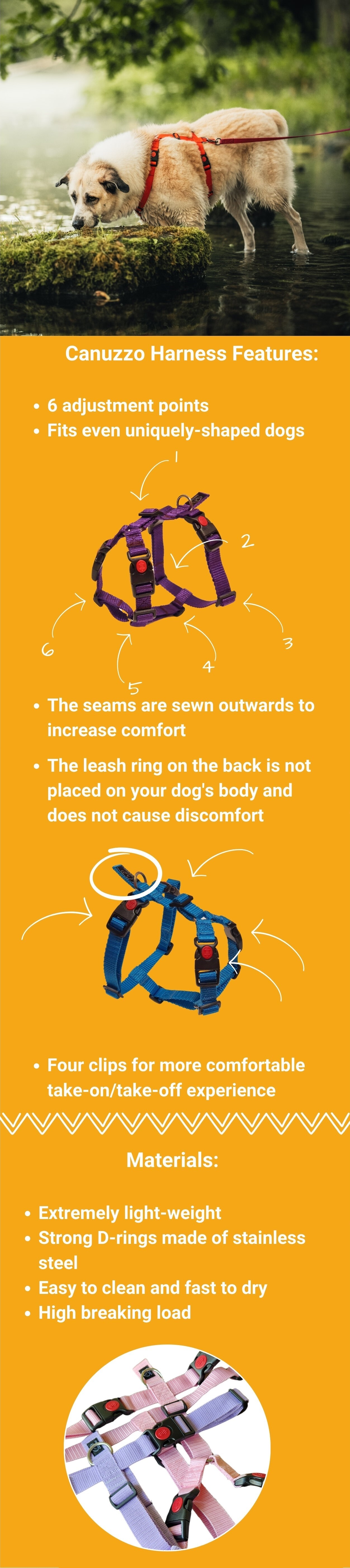 canuzzo-harness-description2.jpg