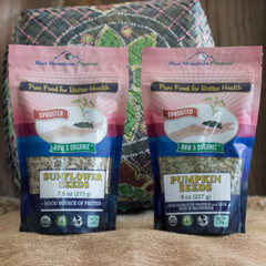 Better Than Roasted Seeds