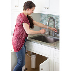 Radiant Life Direct Connect Water Filter System