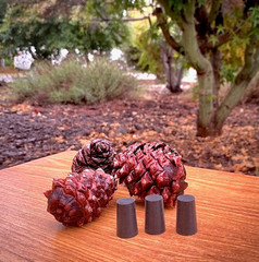 Silicone Food Grade Plugs (set of 3 - color may vary)