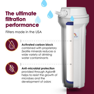 Radiant Life Direct Connect Water Filter Benefits