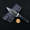 TwoSun Knives EDC Mini S90V Fixed Blade Kydex Belt Sheath G10 Knife TS150-Black