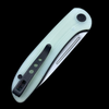 WE Knife Co. Saakshi Liner Lock Knife Natural G-10 Black Liners (20CV 3.3" Stonewash)