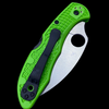 Spyderco Salt 2 Wharncliffe Knife Green FRN (3" Satin) 