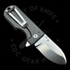 WESN Microblade Frame Lock Knife Titanium (1.5" Satin) D2