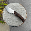 Buck 662 Alpha Scout Fixed Blade Knife Walnut (2.8" Satin) 0662WAS