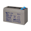 12V 8Ah AGM Deep Cycle Battery (left)