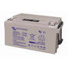 12V 90Ah AGM Deep Cycle Battery()web (right)