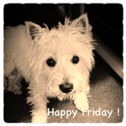 Its FRIDAY !!!!! Its FRIDAY !!!!!