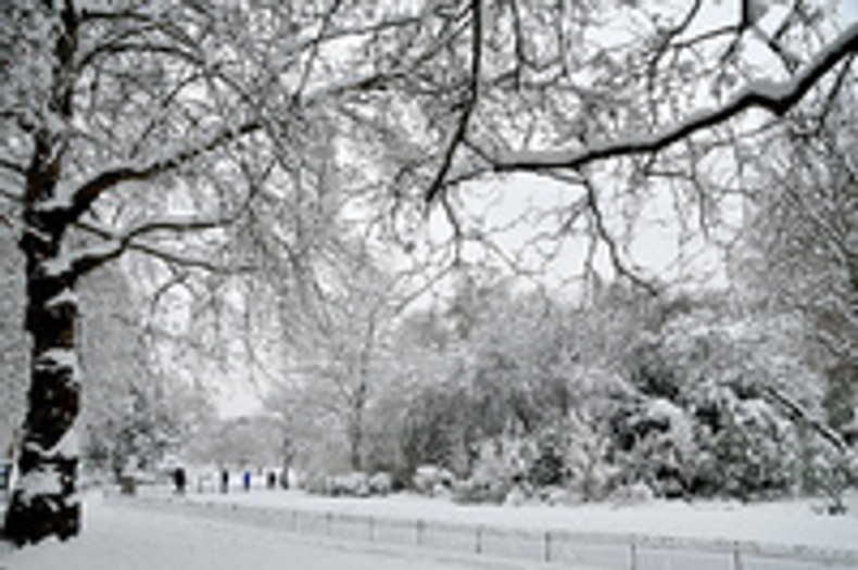 Feeling the Chill?