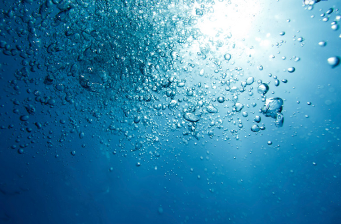 What is Dissolved Oxygen and Why Does It Matter?