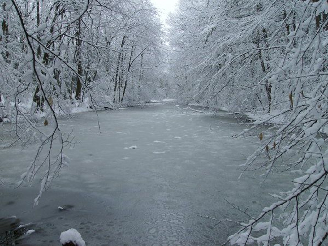 How to Properly Store Pond and Water Treatments in the Winter