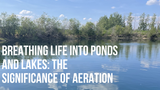 Breathing Life into Ponds and Lakes: The Significance of Aeration