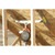 Super Anchor WS TrussBar Temporary Attic and Truss Overhang Anchor, SKU 2835, 5,000 lb min tensile strength